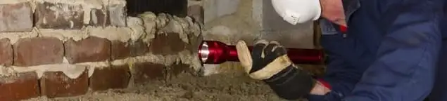 Pest control technician inspecting a crawl space for ant activity and entry points in Chicago, IL