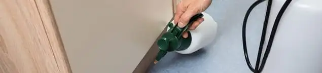 Bed bug exterminator treating baseboards and cracks with targeted spray in Chicago, IL