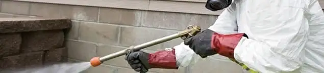 Pest control technician applying exterior insect treatment along a home foundation in Chicago, IL