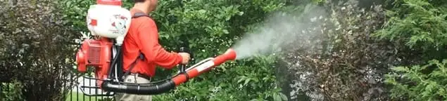 Mosquito control technician fogging shrubs and landscaping for mosquito treatment in Chicago, IL