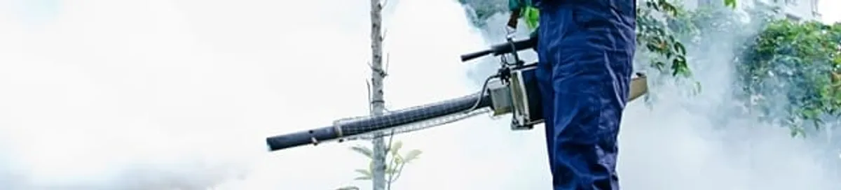 Pest control technician fogging an outdoor area for insect control in Chicago, IL