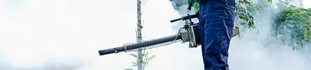 Pest control technician fogging an outdoor area for insect control in Chicago, IL