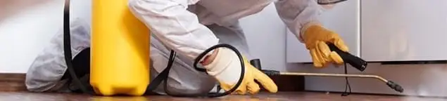 Roach exterminator treating cracks and crevices along kitchen baseboards in Chicago, IL
