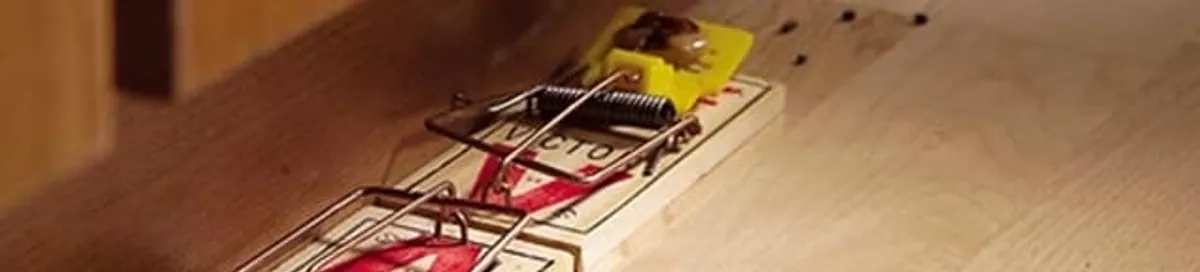 Rodent trap set indoors for rodent control and prevention in Chicago, IL