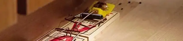 Rodent trap set indoors for rodent control and prevention in Chicago, IL