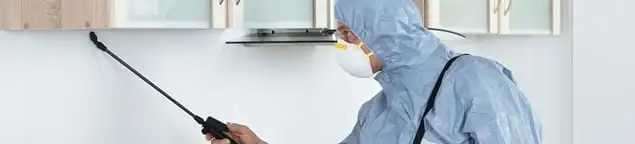 Termite treatment technician applying indoor pest control spray in Chicago, IL